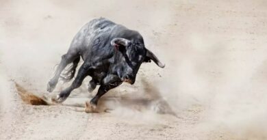 XRP Gains Momentum As Analyst Calls It The Smartest Crypto To Buy XRP Gains Momentum As Analyst Calls It The Smartest Crypto To Buy