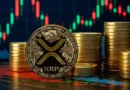 XRP transactions triple but price remains muted XRP transactions triple but price remains muted