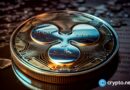 Ripple warns XRP users after fake CEO Instagram account Ripple warns XRP users after fake CEO Instagram account