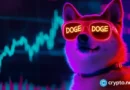 Dogecoin price nears key liquidation zone after $14M whale buy Dogecoin price nears key liquidation zone after $14M whale buy