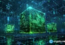 MultiversX investigates potential mainnet issue MultiversX investigates potential mainnet issue