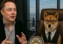 Elon Musk opäť testuje trh. Meme coin Floki vystrelil o 30 % Elon Musk opäť testuje trh. Meme coin Floki vystrelil o 30 %