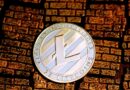 Litecoin Hashrate Nears ATH Despite Miner Rewards Being Halved