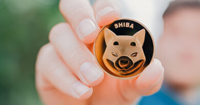 Shiba Inu Team Member Declares Altcoin Season A Time For Shibarium To Shine