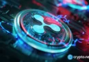 Ripple leadership blasts SEC after filing appeal 