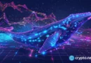 UNI whales offload $20m after SEC lawsuit, shift to new memecoin