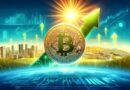 Is Bitcoin Done Or Is This Just The Beginning? Pundit Shares Points To Consider