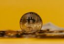 Crypto Institutions Gobble Up Billions In Bitcoin ETFs, Stockpiling 250,000 BTC