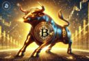 Is The Bitcoin Bull Market Over? Pundit Warns Investors Of 30-Day Window To Take Profit