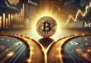 Analyst Says All Bitcoin Price Uptrend Are Duds Unless This Happens