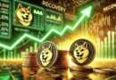 Shiba Inu Large Transaction Volumes Crash 49% In One Day, Are Whales Leaving?