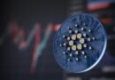 Cardano Holders Can Now Earn Passive Income: Here’s How