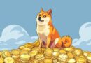 Will Dogecoin Repeat History? Past Cycle Trends Hints At Two Critical Potential Pullbacks