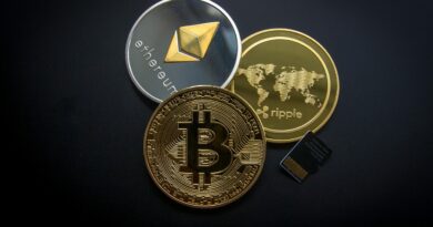 Crypto And Bitcoin Go Mainstream In 2024: Here Are 5 Major Trends