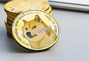 Dogecoin Price Vs. Bitcoin Halving: Previous Cycle Moves Show What To Expect Next For DOGE