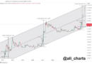 Looming Parabolic Rally Could Send Dogecoin Price Over $1 And As High As $20