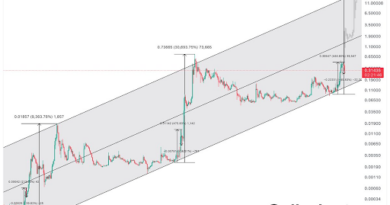 Looming Parabolic Rally Could Send Dogecoin Price Over $1 And As High As $20