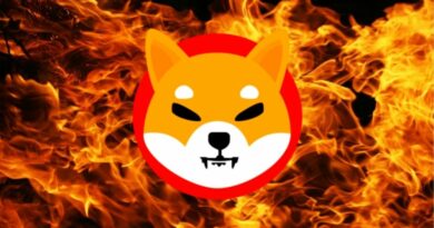 Shiba Inu Burn Rate Surges 42% On Christmas Day, Price Follows With 3.5% Increase