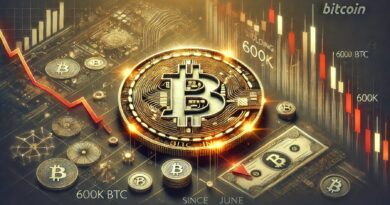 Bitcoin Wallets Holding 10-100 BTC Drop By 600K BTC Since June – Millionaires Cashing Out?