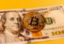 Bitcoin Won’t Topple the US Dollar, Goldman Sachs CEO Says