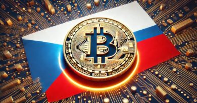 Czech National Bank Governor Mulls Bitcoin Investment