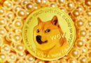 Dogecoin Million Dollar Transactions Soar After Trump Inauguration, Is A Bounce Coming?