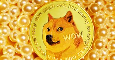 Dogecoin Million Dollar Transactions Soar After Trump Inauguration, Is A Bounce Coming?