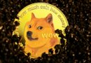 Dogecoin Price Fluctuates In Ascending Triangle, Why This Is Very Dangerous