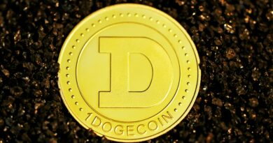 Dogecoin Price Forms Symmetrical Triangle On Daily Chart, What To Expect If It Breaks Out