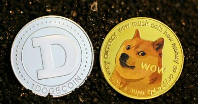 Dogecoin Price Prepares For Monster Rally In Q1, Here’s The ATH Target