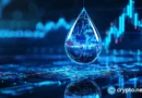Sui maintains bullish trend, stablecoin supply approaches ATH