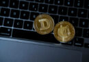 Why The Dogecoin Price Should Be On Your Radar