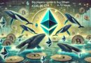 Big Players Keep Buying Ethereum – Whales Accumulate 430,000 ETH In 72 Hours