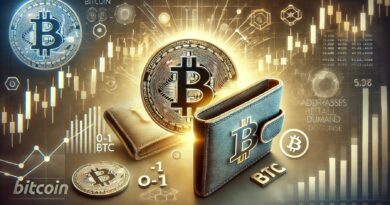 Bitcoin Faces Weak Retail Demand As Addresses Holding 0-1 BTC Decline – Expert Reports