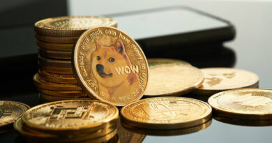 Dogecoin Price Prediction: ‘Channel Down’ Formation Shows Why A Bounce Above $0.3 Is Expected