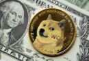 This Analyst Predicted The Dogecoin Price Crash Below $0.2, Here’s The Rest Of The Forecast