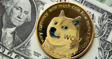 This Analyst Predicted The Dogecoin Price Crash Below $0.2, Here’s The Rest Of The Forecast