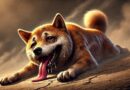 Shiba Inu Burns Slow To A Crawl With Only 2 Transactions In 24 Hours, What’s Happening?