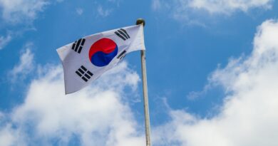 South Korea Prepares Crypto Rules For Cooperate Investment