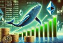 Whales Accumulate Over 420,000 Ethereum In Five Days – Rally On The Horizon?