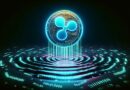 XRP Large Holders Are On A Buying Spree As Price Gains Fresh Upsurge