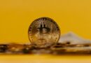 Ark Invest’s Cathie Wood Predict Bitcoin To Hit $1.5 Million Price By 2030 — Here’s Why