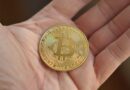 Bitcoin Retailers Retreat? Small Wallet Addresses Decline Sharply As Market Turns Volatile