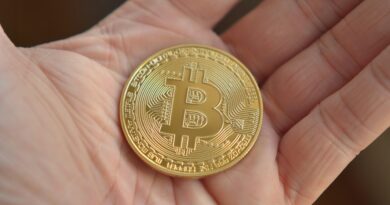 Bitcoin Retailers Retreat? Small Wallet Addresses Decline Sharply As Market Turns Volatile