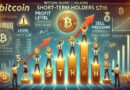 Bitcoin Short-Term Holder Profits Climbing – Data Hints At Incoming Sell Pressure