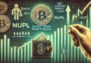 Bitcoin Short-Term Holders Not Selling Yet: NUPL Suggests Upside Potential