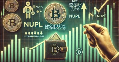 Bitcoin Short-Term Holders Not Selling Yet: NUPL Suggests Upside Potential