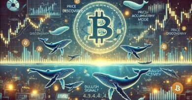 Bitcoin Whale Activity Remains Neutral As It Enters Price Discovery – Bullish Signal?