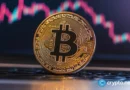 How to mine Bitcoin at home with WinnerMining in 2025