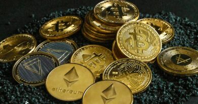 Crypto Isn’t Going Anywhere, Regardless of Wallet Growth—Cathie Wood